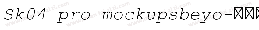 Sk04 pro mockupsbeyo字体转换